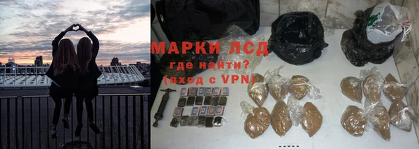 шишки Белокуриха