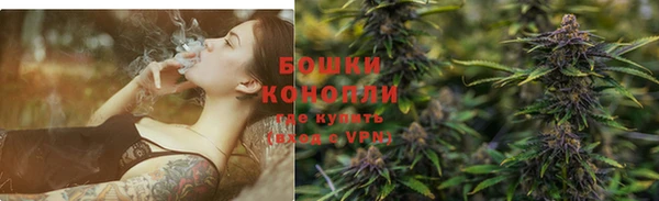 шишки Белокуриха