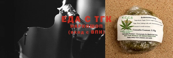 шишки Белокуриха
