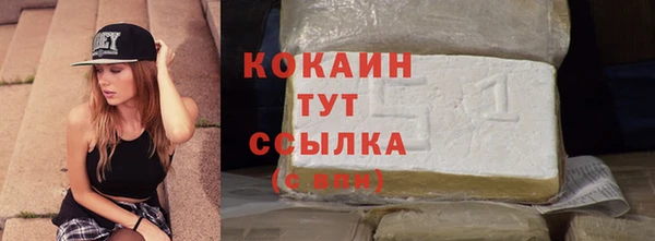 шишки Белокуриха