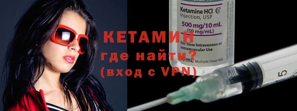 шишки Белокуриха