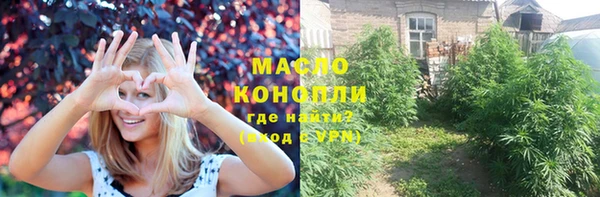 шишки Белокуриха