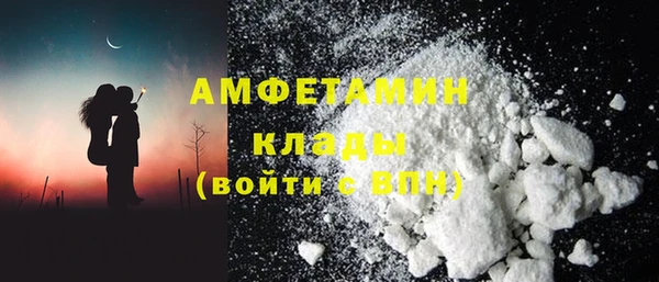 шишки Белокуриха