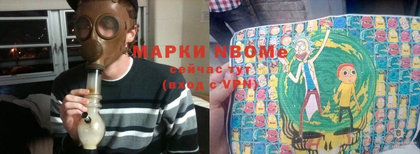 шишки Белокуриха