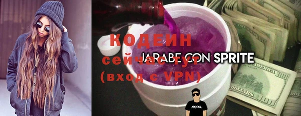 шишки Белокуриха