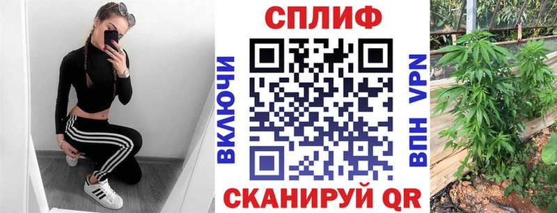 Бошки Шишки ГИДРОПОН  Купить  Кадников 